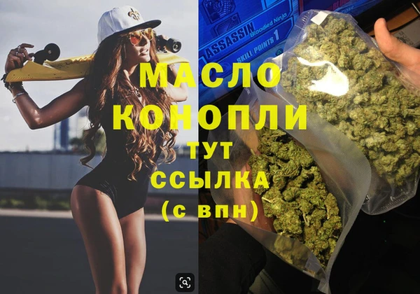 стаф Инта
