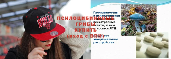 соль ск Балахна