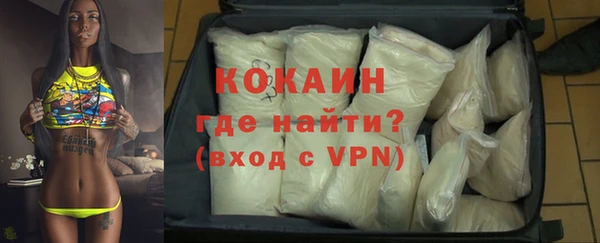 стаф Инта