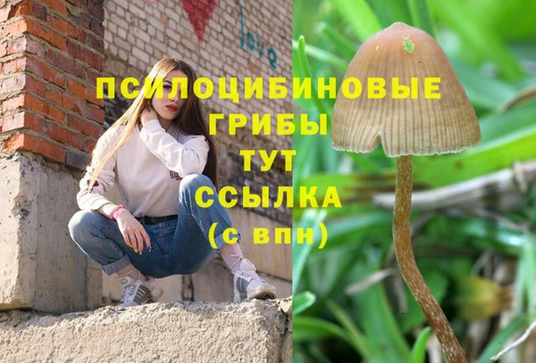 стаф Баксан