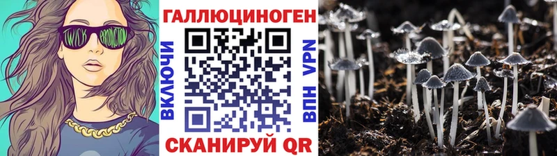 наркота  Красный Сулин  Галлюциногенные грибы Magic Shrooms 